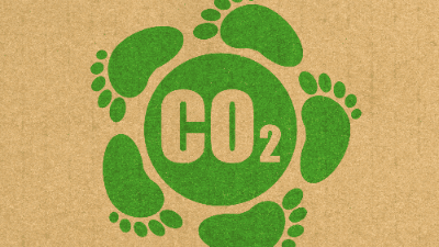Net Zero Homes: Identifying and Reducing Embodied Carbon